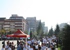 IMG 5352