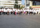 IMG 5517