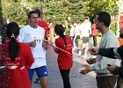 IMG 6151